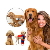 Perro Eléctrico Hair Trimmer de carga USB Pet Hair Clipper de Bajo Ruido Cat Hair Remover PET Grooming Hair Shaver Cutter Machine - details 10