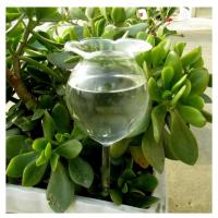 2PCS Pitillo De Riego Automático De Vidrio Transparente Para Plantas Dispositivo De Riego Manual Con Bola De Riego - details 1