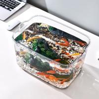 Tanque De Acuario Pequeño Transparente De Plástico Explosión-Resistente Para Plantas Y Pequeños Peces Tanque PET Para El Otoño - details 0