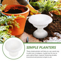 Maceta Plástica Para Plantas Hidroponicas Decorativa Para El Hogar Y Balcones Adecuada Para Scindapsus Y Otros Plantas - details 1