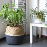 Cesta De Almacenamiento Tejida De Hierba De Mar Natural Hecha a Mano Plegable Para Ropa Y Lavandería Cesta De Paja De Resina Rattan Con Flor Bolsa De Playa - details 3