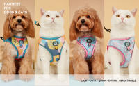 Nueva Llegada De Correa Y Amigo De Mascota Ajustable Con Diseño Moda En Malla Suave Para Gatos Y Perros Conjunto De Correa Y Amigo De Mascota - details 0