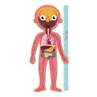 PUZZLE CUERPO HUMANO 240 PIEZAS 70CM APLI KIDS - details 3