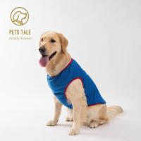 Chaleco De Guitarra Estilo Rock Para Perros T-Shirt De Verano Para Pequeños Medianos Y Grandes Mascotas Material De Poliéster - details 13