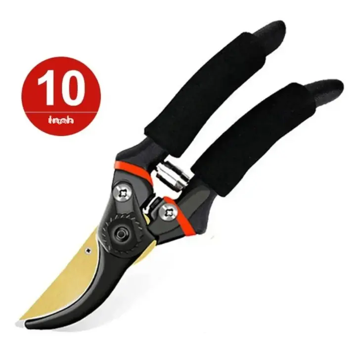 Tijeras De Poda Para Frutas De Pico De Águila Dorado De 10 Pulgadas Eficientes En Energía Para Jardinería Floral Y Uso Doméstico Poda De Ramas Rugosas - 1