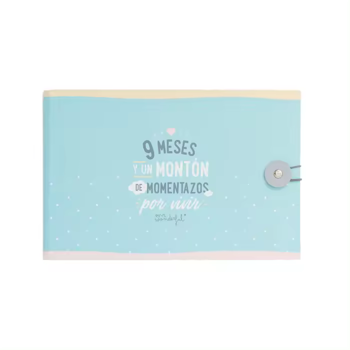 MR ALBUM - 9 MESES Y UN MONTON DE MOMENTAZOS POR VIVI MR WONDERFUL 3x15x23 Cms. - 1