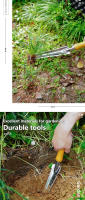 1pc Herramienta De Jardín De Acero Inoxidable Con Mango De Roble Para Malear Sembrar Transplantar Y Excavar - details 12