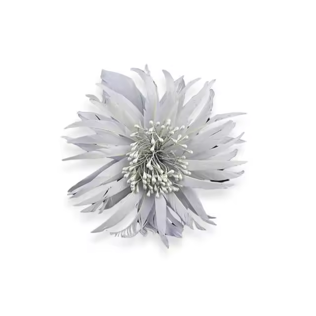 FLOR DE PLUMAS OCA Raíz FLORES Productos de Google Shopping Inicio PLUMAS FLORES DE PLUMAS NOVEDADES - 1
