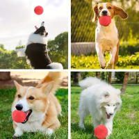 Bola Interactiva Para Perros Con Sonidos Duradera En Material TPR Para La Salud Dental Adecuada Para Entrenamiento Y Juegos Interior Y Exterior - details 4