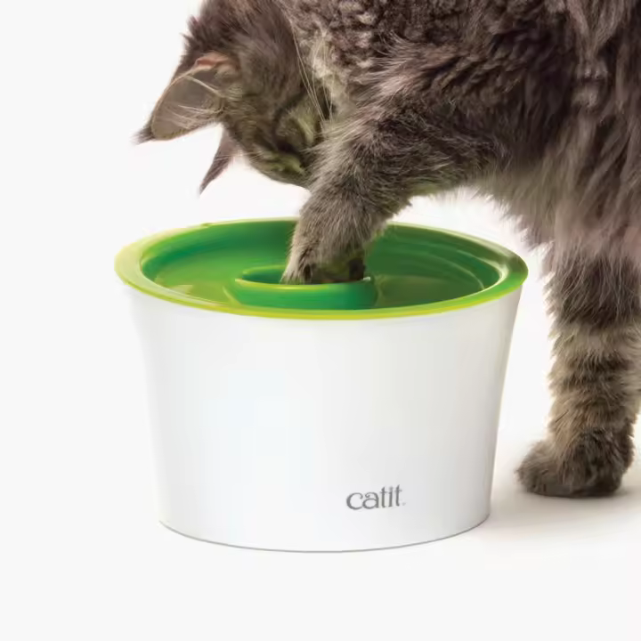 Comedero antivoracidad para gatos Catit Multi Feeder - 1