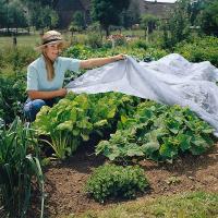 Cubierta Antfriozón Para Plantas No Tejida Protección Contra Heladas Invierno Térmica Isolante De Poliéster Para Jardín - details 5