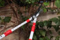 Kamikaze Tijeras Cortasetos KM-37 25CM DE HOJA RECTA - details 2