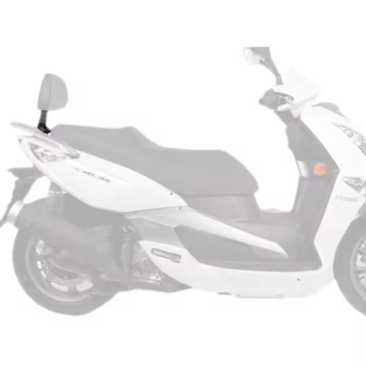 Shad Fijación Respaldo Aeon Elite/urban 125/350i&benelli Zenzero 125i/350i&quadro 3d 360 - 1