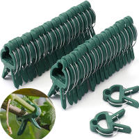 200Pcs Clips Para Fijar Plantes Reutilizables Soporte Para Brotes De Flores Vínculos Vegetales Tomates Suministros De Jardín - details 11