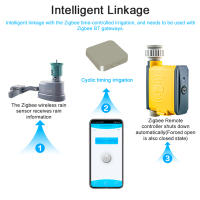 Sensor De Lluvia ZigBee Inalámbrico Con Ajustes Cíclicos Dispositivo De Riego Enlace Con Control Remoto ZigBee Y Gateway BT - details 2