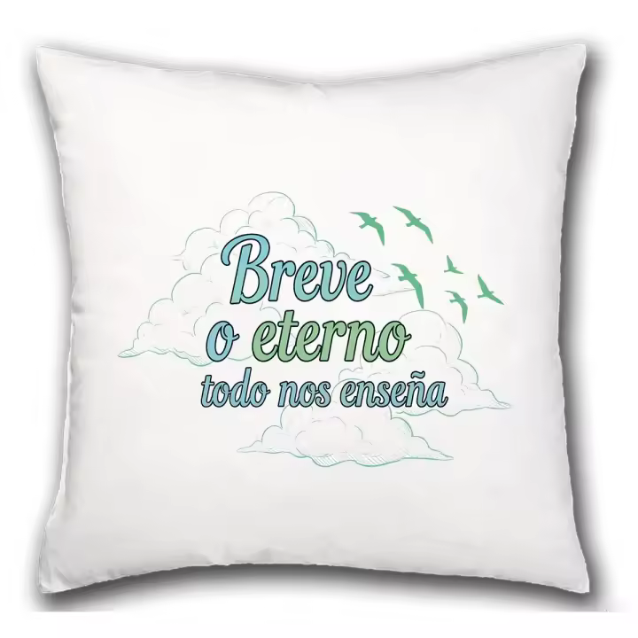 MERCHANDMANIA Cojín frase consejo aprender enseñar vida hogar comodo cussion - 1