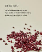 Beauty of Joseon - Set de protector solar de Arroz + Probióticos (50 ml* 1 unidades) SPF 50+ PA++++ - details 3