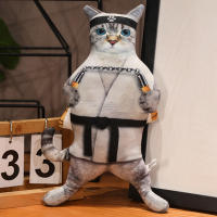 Cojín De Peluche Divertido Y Lindo De Gato 30cm Juguete De Peluche Coleccionable Para Niños Regalo De Cumpleaños O Festividades Estilo Diverso - details 15