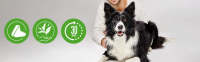 ADAPTIL CHEW (30 chews) - Calmante para Perros, Reductor de Estrés y Ansiedad - details 0