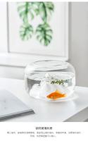 Lámpara De Montaña Neve Para Acuario Vidrio Grueso Mini Tanque De Peces Pequeño Terrario Decoración Para Mascotas Acuáticas - details 5