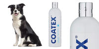 Coatex Vetplus Champú Tratamiento para perros con piel sensible 500ml - details 2
