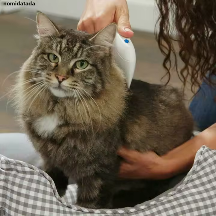 Peine Eléctrico Antipulgas Para Mascotas Control De Pulgas Y Pulgas Herramienta De Limpieza Para Animales De Compañía - 1
