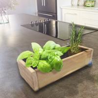 Plantawa Kit de Cultivo Jardinera Slim, Kit Completo para Cultivar Hierbas Aromáticas y Culinarias, Semillas Huerto Urbano para Casa Jardín Decoración Plantas Ecológicas Interior y Exterior. - details 3