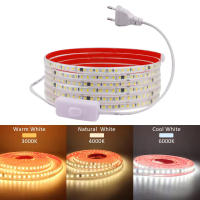 Tira De LED Flexible 220V IP68 Impermeable Con 120LEDs/m SMD 2835 yInterruptor on off EU Plug Para Iluminación Exterior - details 0
