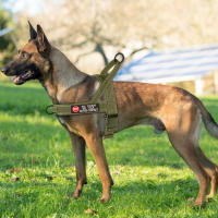 Harnés Reflectante Para Perro No Pull Táctico Militar Con Adhesivo Y Almohadilla Chaleco Para Mascota Pequeña Mediana Grande Para Pug Y Otros - details 13
