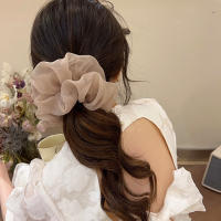 Cinta De Pelo Grande De Malla Para Mujer Estilo Simple Y Moda Anillo De Pelo Para Cabello Alto Scrunchie Adecuado Para Todas Las Estaciones - details 2