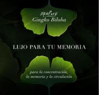 Tongil -GINKGO BILOBA en Cápsulas de 40 Unidades, 6500mg Estado Puro-Complemento alimenticio para Función Cognitiva y Memoria - details 4