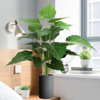 Árbol De Palma Artificial De 75cm Con 24 Cabezas Planta Falsa De Monstera Philodendron Hojas Verdes Para Decoración Interior Y Exterior - details 0