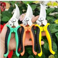 1Pcs Tijeras De Poda Profesional Con Corte Por Pasada Para Jardín Y Árboles Afiladas Tijeras De Mano Secateur Herramienta De Poda Metálica - details 7