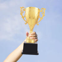 Trofeo De Plástico Dorado Para Premiar Juegos Y Escuela Juguetes Educativos Tempranos Regalo De Fútbol Medallas De Campeonato - details 3