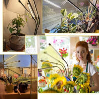 Lámpara De Crecimiento LED USB Para Plantas Con Control Espectro Completo 3000K Lámpara Fitolamp Para Flores Semillas En Casa Clip Phyto Lamp - details 4