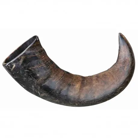 Astas de Búfalo Masticables, Mediana - 1