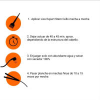 LISS EXPERT PROFESIONAL Liss Expert Profesional Stem Cells Express - Alisado Células Madre - details 1