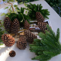 6Pcs/Pack Ramas De Pino Navideñas Artificiales Para Adornos De Casa Y Árbol De Navidad Decoración De Año Nuevo Blanco Y Verde - details 2