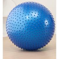 Bola De Yoga De 55cm Para Ejercicio En Gimnasio Y Pilates Balanza Entrenamiento Interior Core De Fitness - details 2