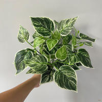 35cm Planta Artificial De 7 Cucharas Hojas De Planta Falsa Scindapsus Para Decoración De Jardín Oficina Casa Y Hotel Material Plástico - details 1