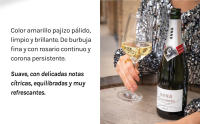 Pack 6 Anna de Codorníu 75cl + Magnum 1,5L - Cava Brut - details 3