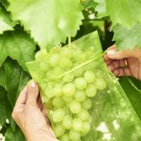 Malla De Protección Para Frutas Y Verduras 30Pcs Juego De Bolsas De Cultivo De Plantas Con Red Antipájaros Para Jardín Agricultura Tamaño 10x15CM 20x30CM Colores Blanco Verde Fruta Oscuro Verde - details 9