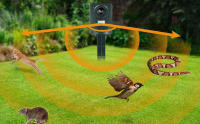 Repellente Ultrasonido Para Gatos Exterior Jardines Repelente De Animales Insecticida Impermeable Repulsor De Zorro - details 2