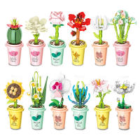 DIY MOC Vaso De Plantas Potted Vaso De Suculentas Y Cactus Gypsophila Montaña Loto Decoración De Bloques De Construcción Modelo Kit De Bloques De Plástico ABS Para Jóvenes Y Adultos - details 16
