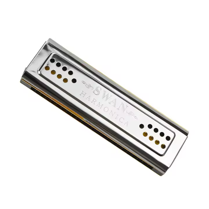 Harmonica De Ambas Cara 24 Huecos C Y G Dobles Tonos Organ De Bocina Instrumento De Viento De Madera Para Música - 1