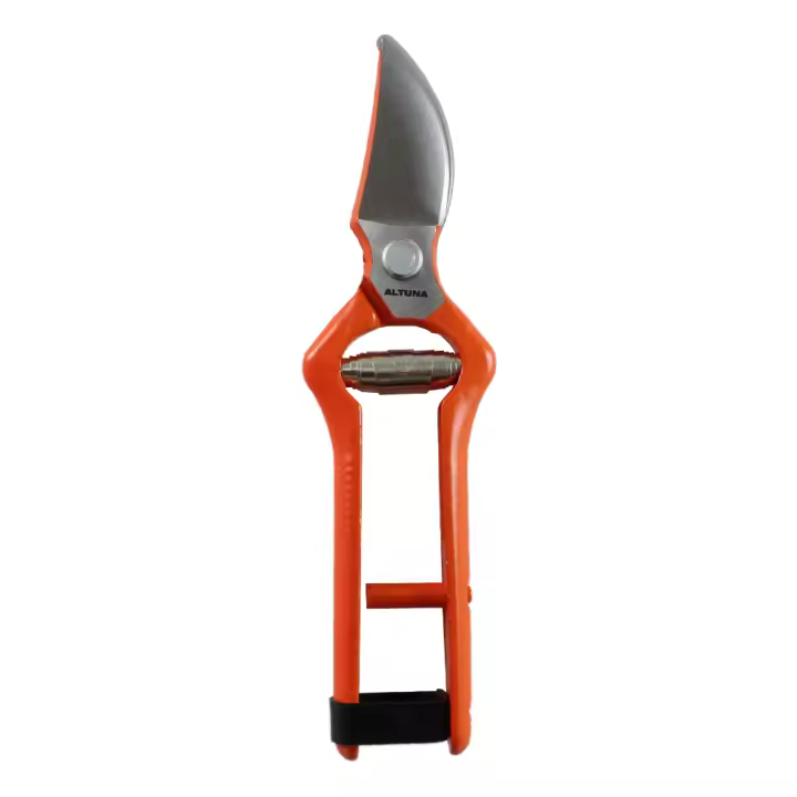 Bikain Tijera de Vendimia 18 Cm Altuna 95000B para Recolectar Uva, Frutas y Ajos - 1