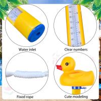 Termómetro de piscina flotante, termómetro de Agua de dibujos animados, termómetro de Estanque, estanques de peces, acuarios - details 2