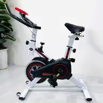 DASCK-Bicicleta Estática Bicicleta de Ciclismo Interior con Pantalla LCD en Casa Estática de Profesional Volante Inercia 6 kg - 1