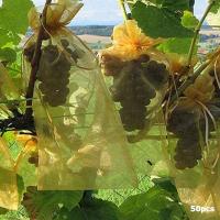 Malla De Protección Para Frutas Y Verduras 30Pcs Juego De Bolsas De Cultivo De Plantas Con Red Antipájaros Para Jardín Agricultura Tamaño 10x15CM 20x30CM Colores Blanco Verde Fruta Oscuro Verde - details 12