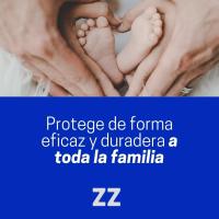 Zelnova Zeltia Roll-On Calmante Hipoalergénico Post Picaduras | Alivia y Refresca la Piel Irritada por Picaduras de Mosquitos | Para Toda la Familia | Apto para Bebés Mayores de 3 Meses | 15 ml - details 4